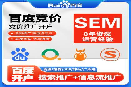 某电商平台的SEM优化案例分享